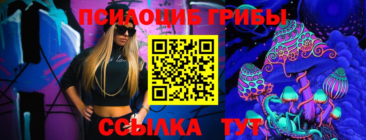 Галлюциногенные грибы GOLDEN TEACHER  где можно купить   Нефтекумск  Вход с VPN 
